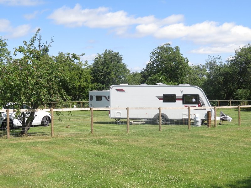 Pitches beside the old orchard trees.